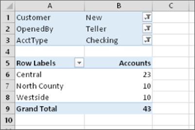 A pivot table with three filters: Customer filter is set to New, OpenedBy filter to Teller, and Acct Type filter to Checking.