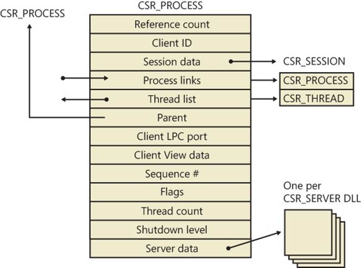 Fields of the CSR process structure