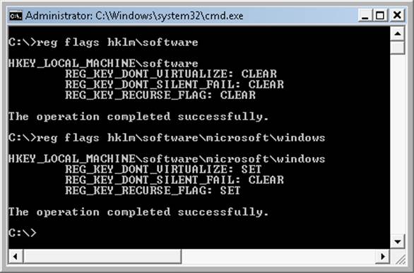 UAC registry virtualization flags on the Software and Windows keys