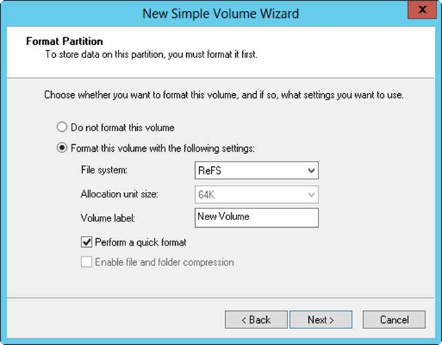 Set the formatting options for the partition on the Format Partition page.