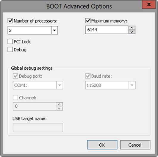 A screen shot of the BOOT Advanced Options dialog box, which you can use to specify the number of processors, maximum memory, or global debug settings.