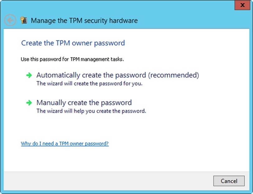 A screen shot of the Create The TPM Owner Password page, where you can choose to have the wizard automatically create the password or you can manually create the password.