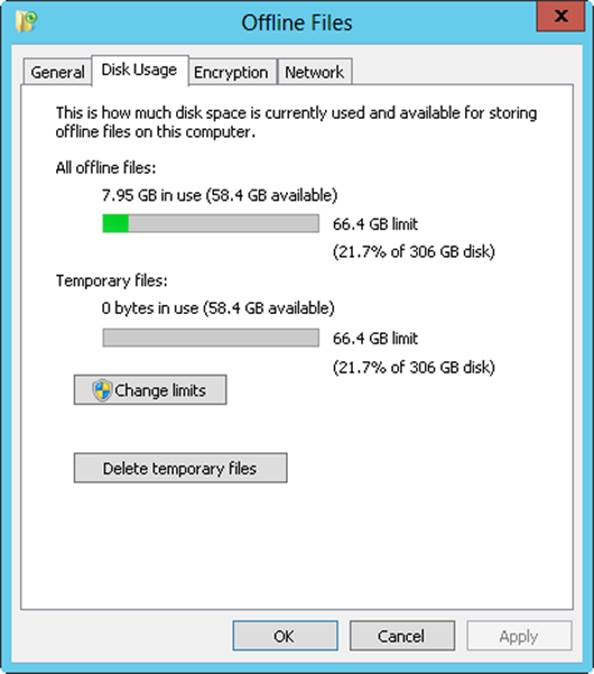 A screen shot of the Disk Usage tab, where you can view the amount of space used by all offline files and related temporary files