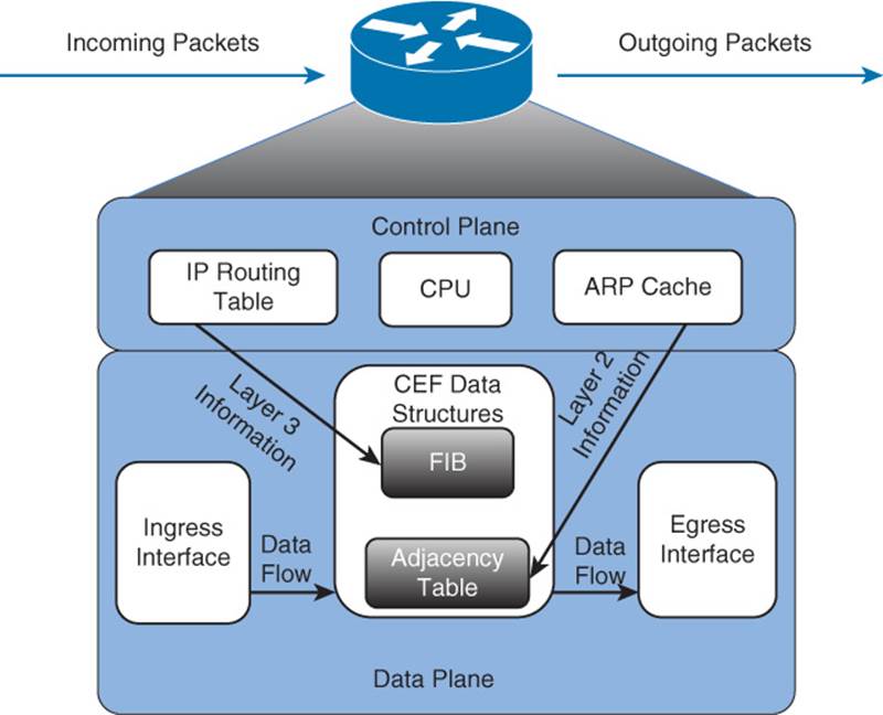 Route interface. Cisco CEF. Data Интерфейс. CEF интерфейсы. Cisco Express Forwarding (CEF).