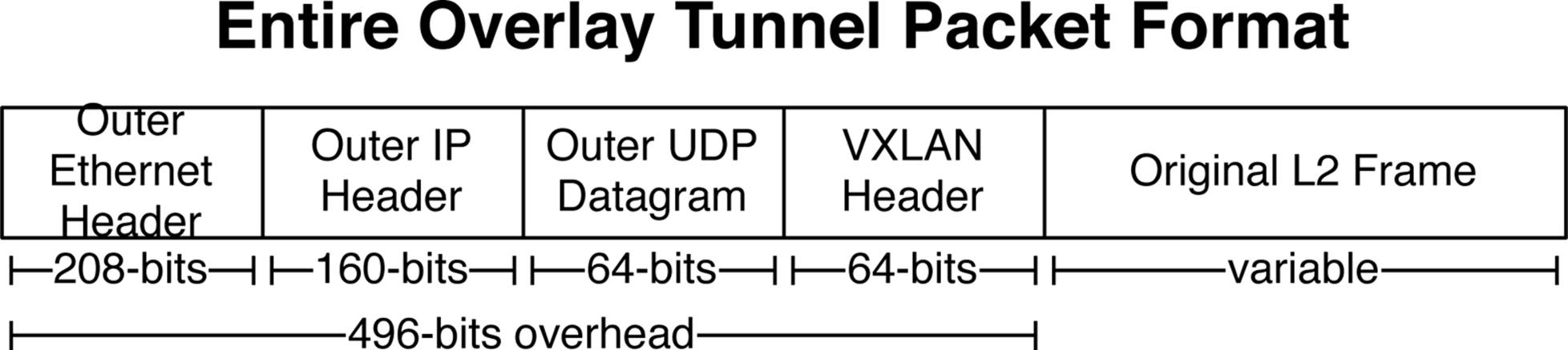 The entire overlay tunnel packet format