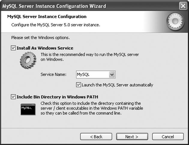 Specifying the server options during the Windows installation