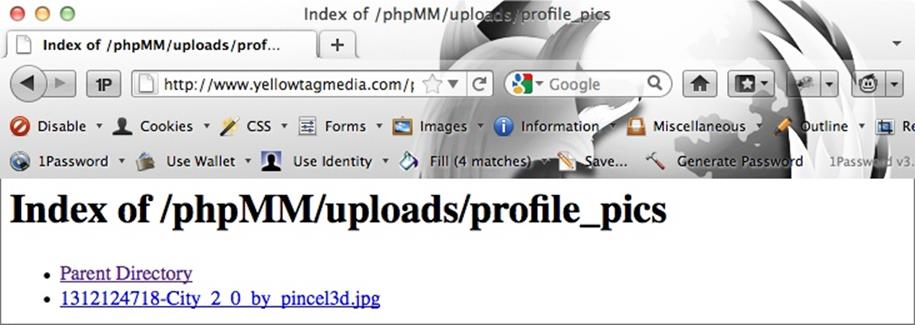Honestly, it’s probably not a great thing if you can look at files like this. It basically means that anyone with a web browser can navigate your site’s directory structure. So while this is great for debugging, it’s not something you want to leave on, and you may want to email or call your web server provider or hosting company and ask them to turn off directory listings through the Internet.