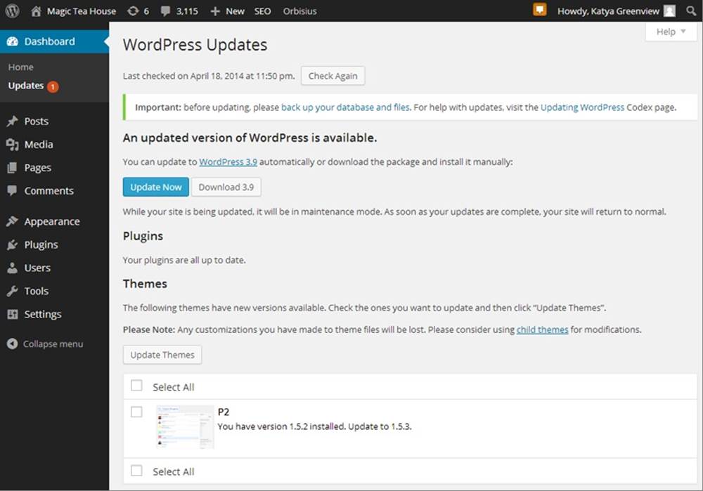 The Update page explains that two components need updating: the WordPress software and the P2 theme you installed on your site.