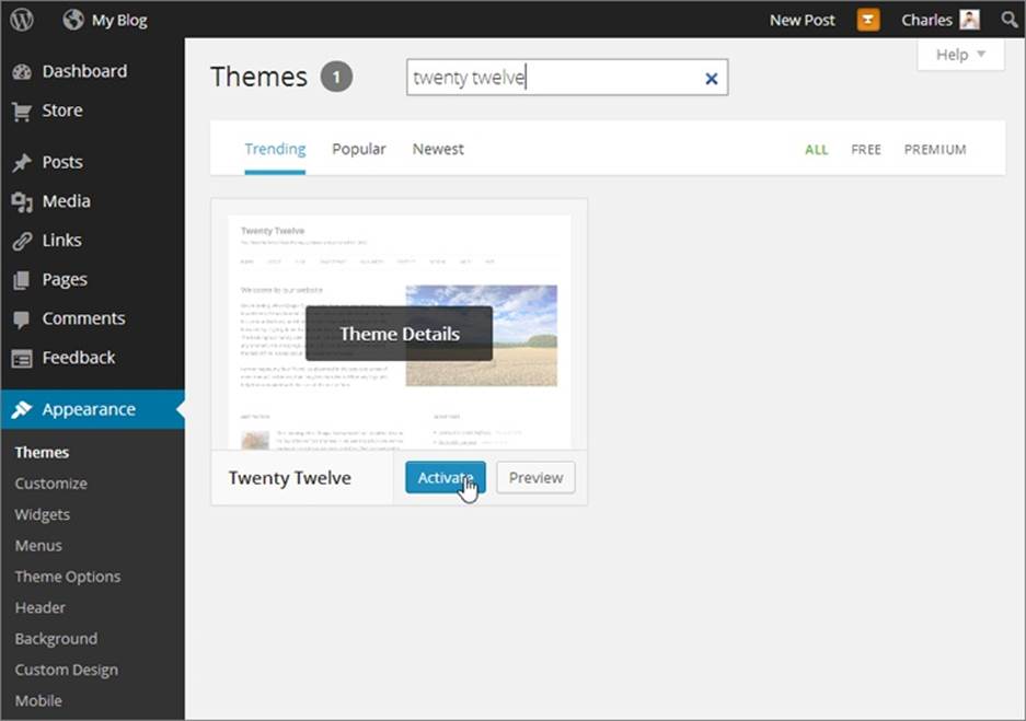 When you finish typing in the search box, you’ll see a single entry for the Twenty Twelve theme.
