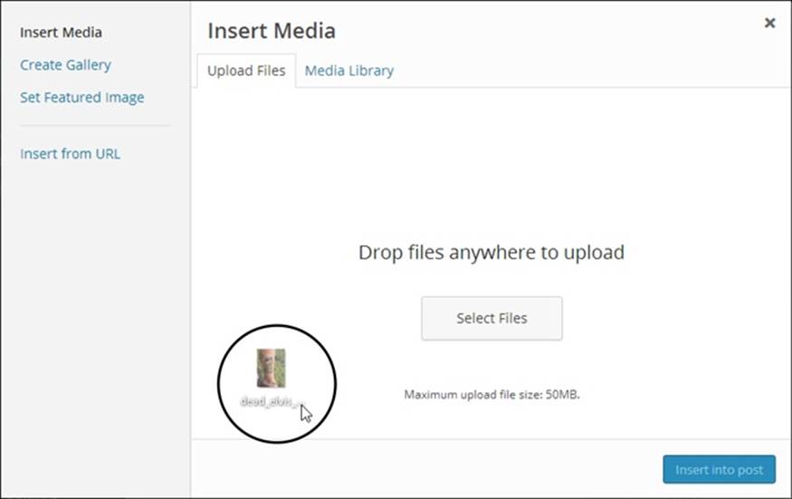 Using the Upload Files tab, you can insert one or more pictures from your computer into a post. First, drag a picture into the Insert Media box. Once you release the image, WordPress begins uploading it.