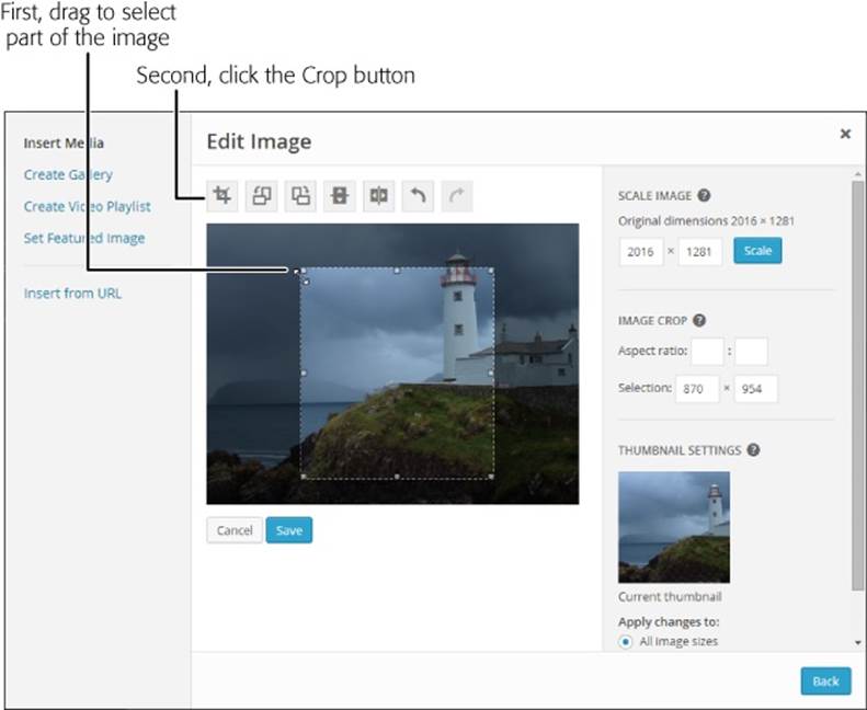As you drag your mouse over a portion of your picture, the Image Crop section (right) shows the exact size (in pixels) of your selection.