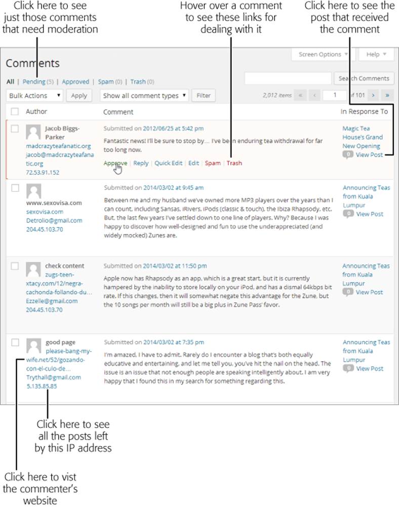 The comment list is packed with information. On the left are two useful links to help you evaluate whether a comment is legit. Underneath the comment are the links that let you approve or delete it.
