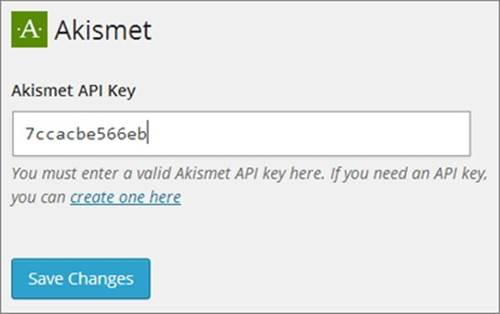 Before Akismet can start catching spam, it needs your API key, which looks like the series of letters and numbers shown here.