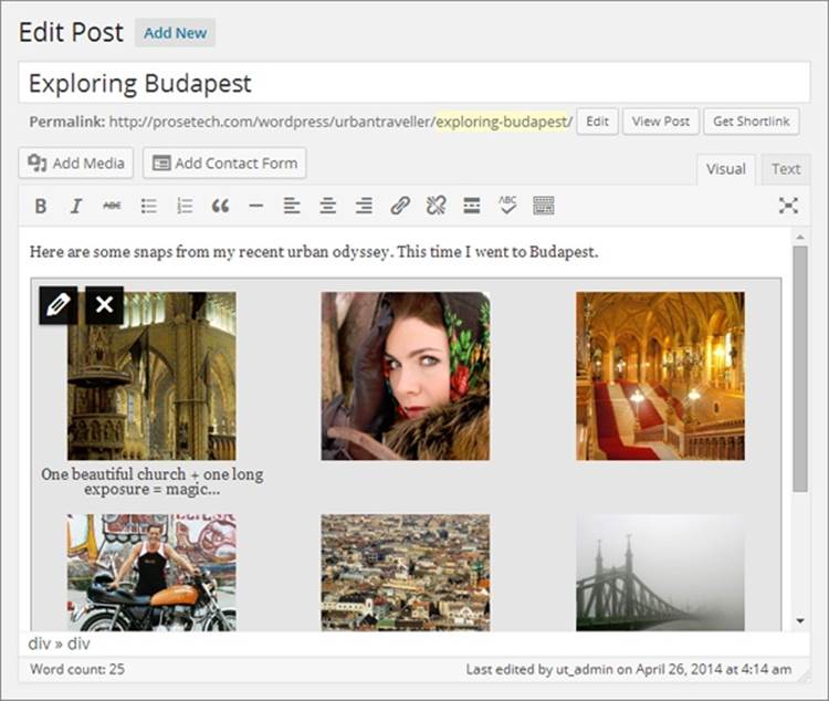 There’s no need to preview your post to check out your new gallery. WordPress provides a faithful depiction of the gallery in the Visual tab of the post editor.
