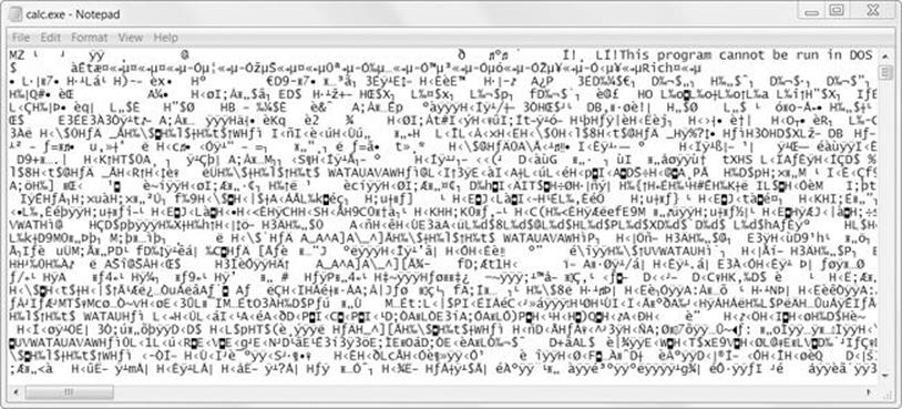 The Windows calc.exe program opened in Notepad