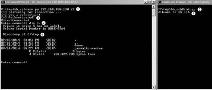 Using SSH to run commands