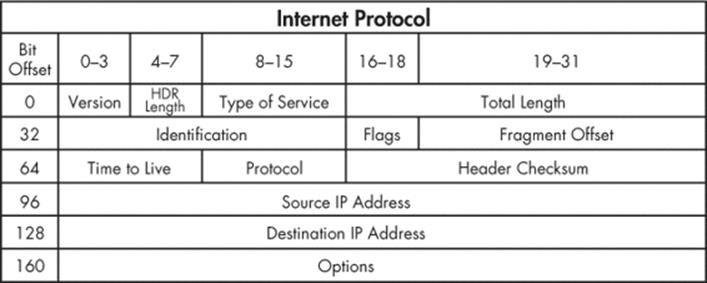 Typical IPv4 header structure