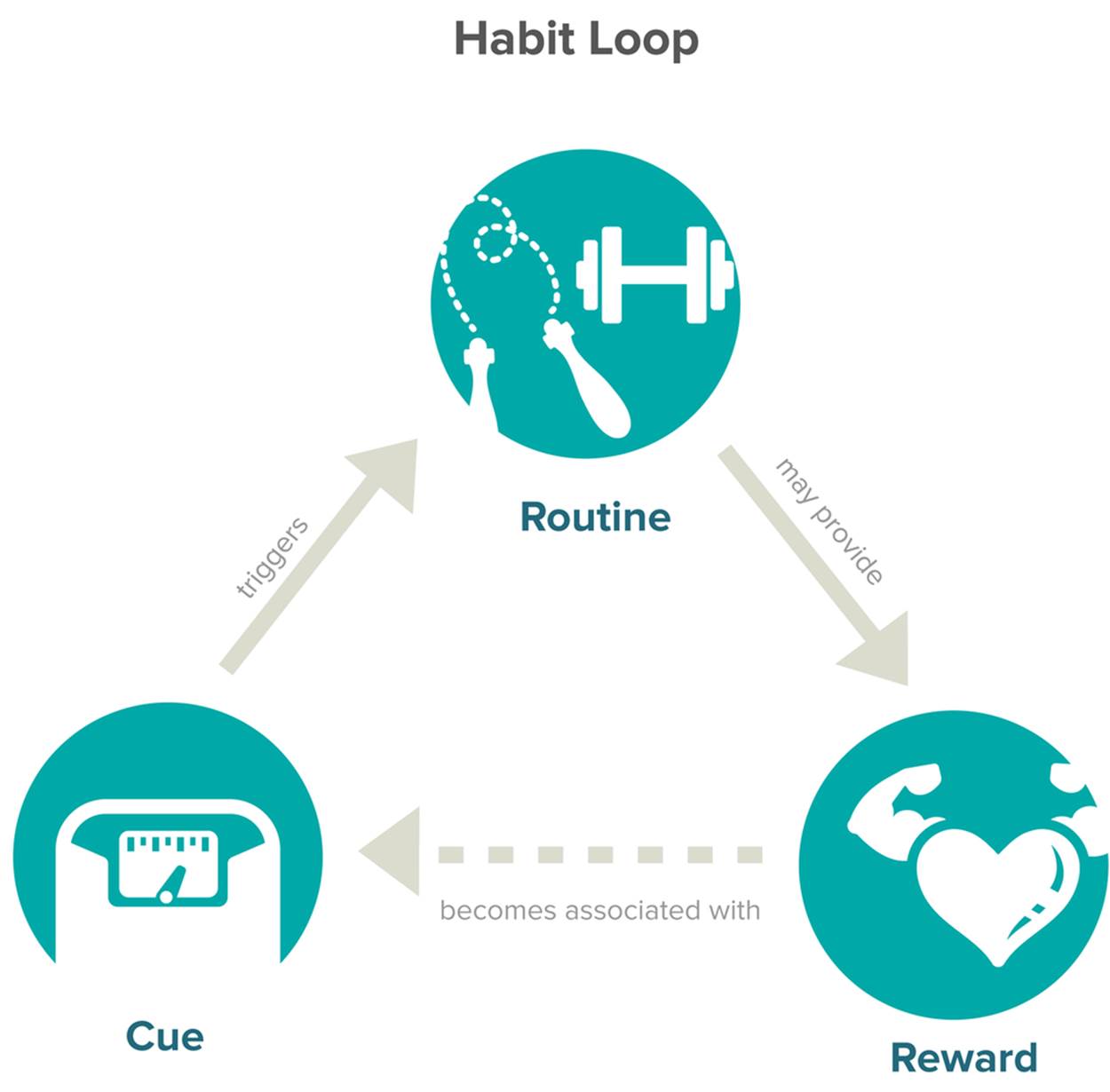 The cue-routine-reward process described by . For example, seeing the scale in the morning triggers the exercise routine. The immediate reward is a pleasant muscle burn.