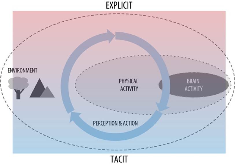 Explicit and Tacit spectrum over the perception-action loop