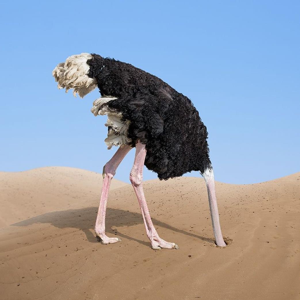 Not being aware of your surroundings is like the old myth about an ostrich hiding from danger by burying its head in the sand.
