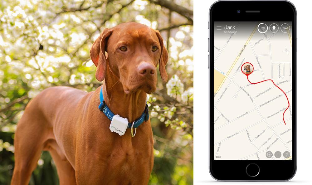 Tractive pet trackers track the location of your cat or dog using GPS (images: Tractive)