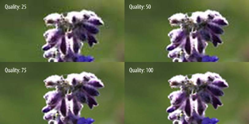 In this comparison of Photoshop’s Save for Web export quality, the lower-quality JPEG images have more artifacting around edges of high contrast, such as the green background surrounding the top white leaves.