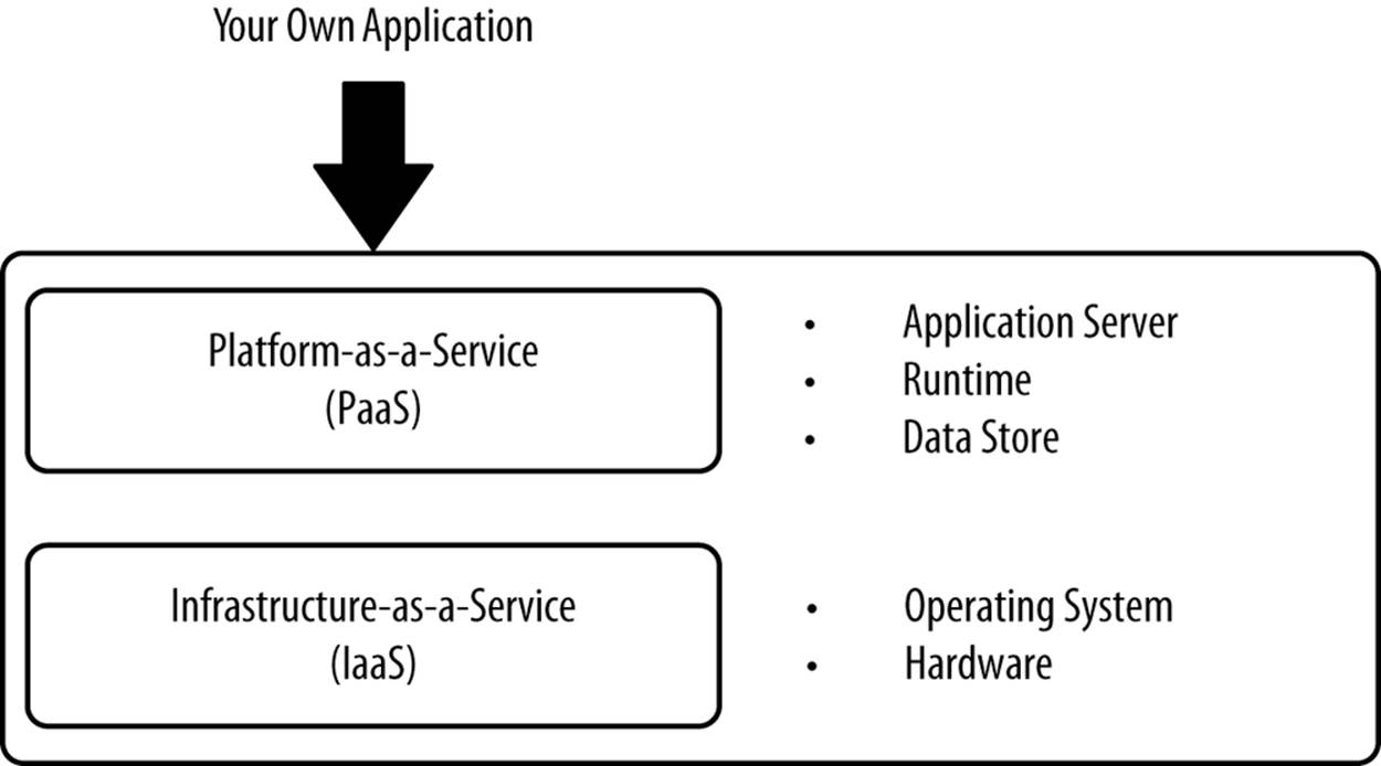 What PaaS vendors offer
