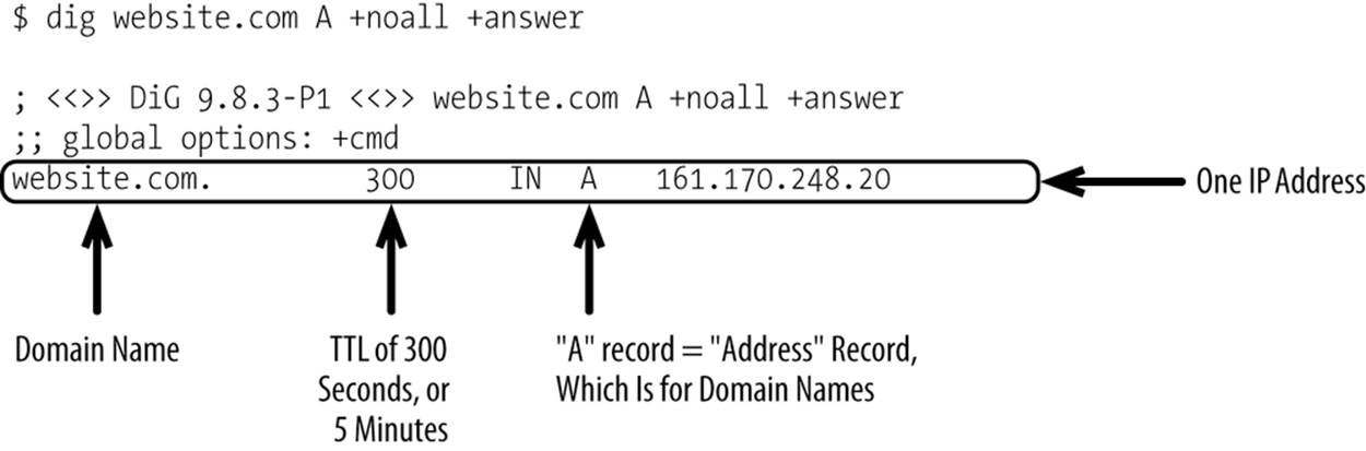Sample record with one IP address returned