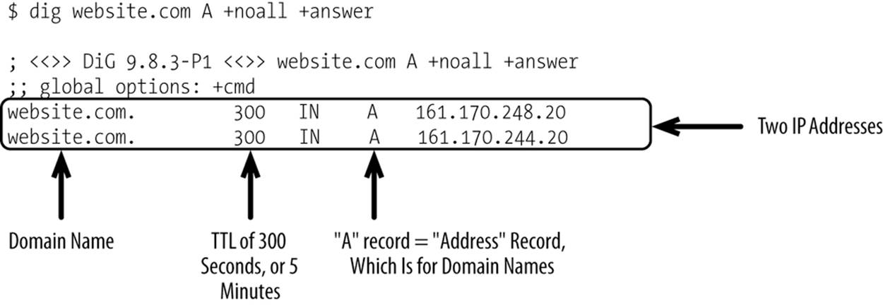 Sample record with two IP addresses returned