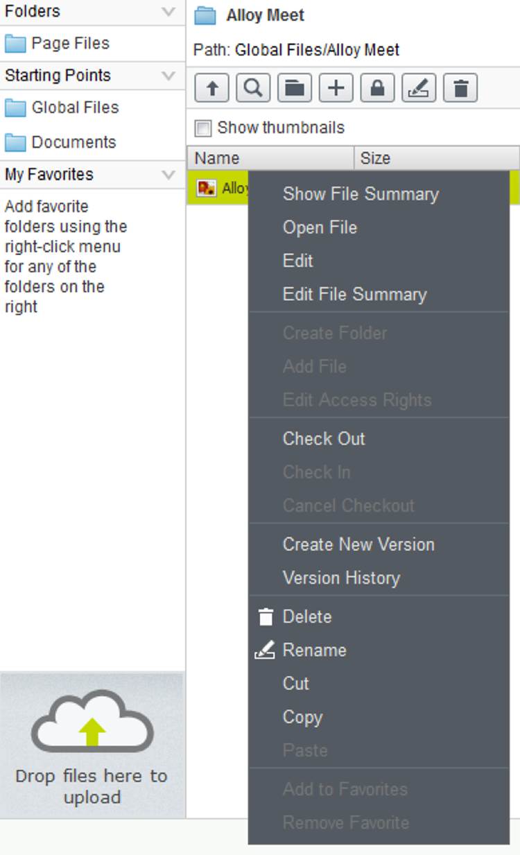 The right click context menu for a file.