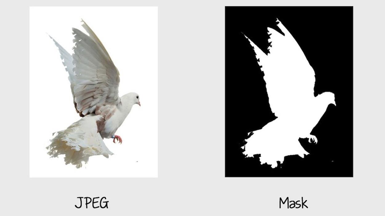 The JPEG image on the left, and the luminance SVG mask on the right