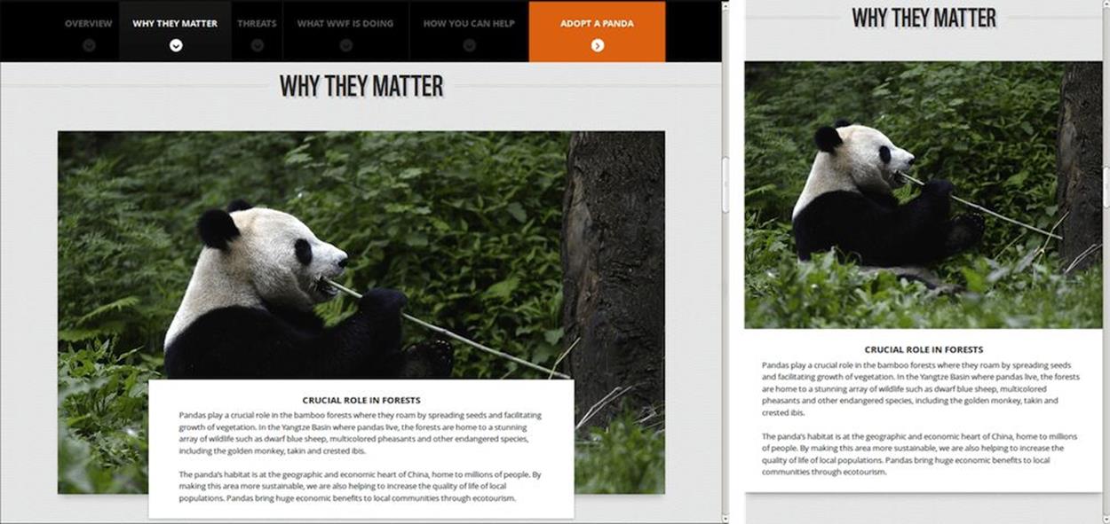 An article featuring a panda header image over a wide and a narrow viewport