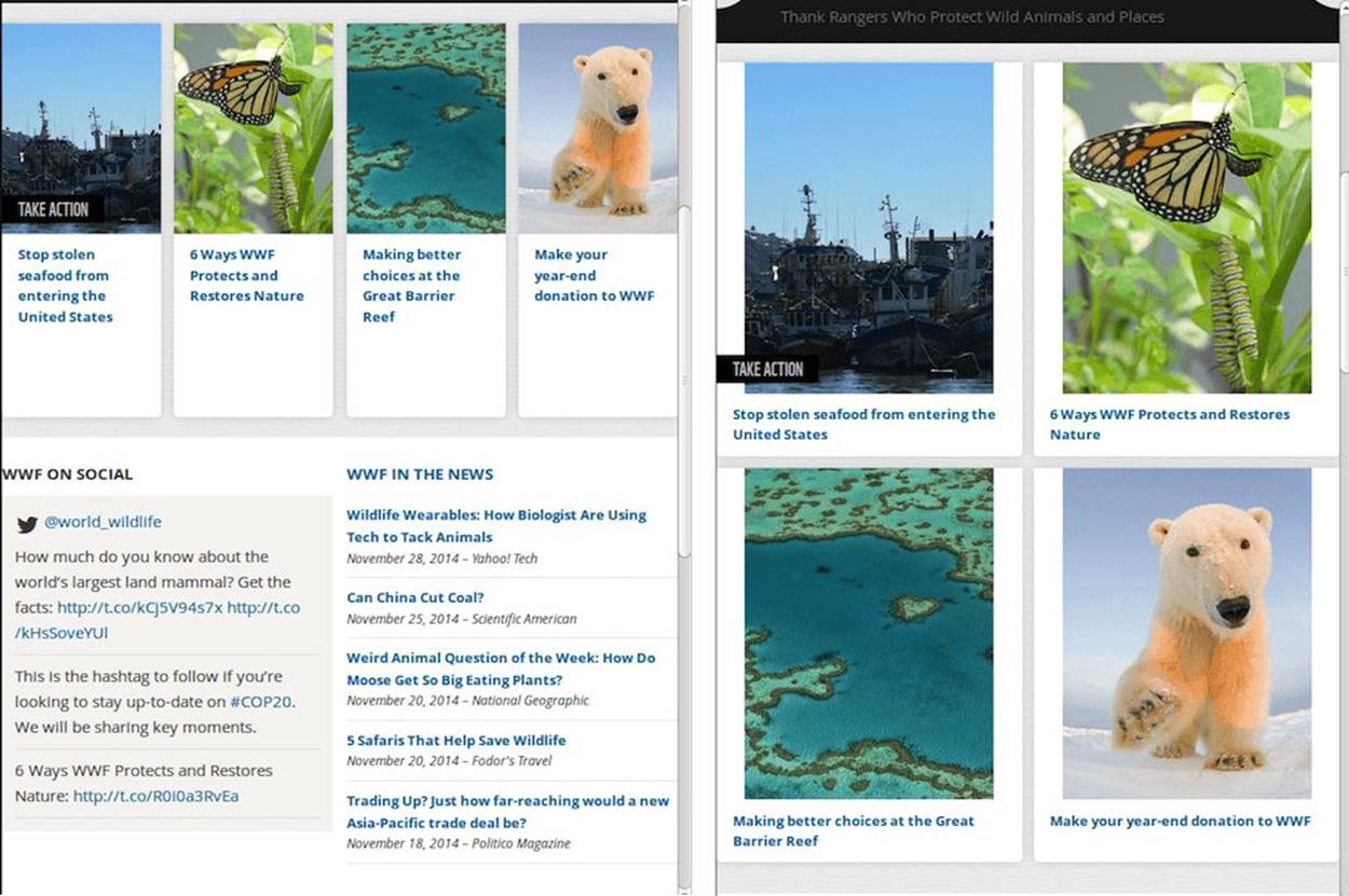 Animal thumbnails in a medium-sized viewport