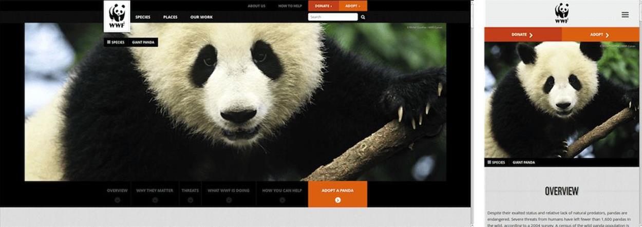 A panda header image in full context when viewed from a wide viewport